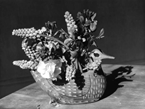Images Dated 16th June 2011: Duck Basket Arrangement