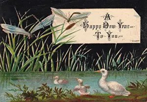 Duck and ducklings on a New Year card