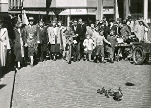 Images Dated 29th June 2016: Duck and ducklings wandering through town in Denmark
