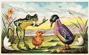 Duck, frog and duckling on a comic card Duck, frog and duckling on a comic card
