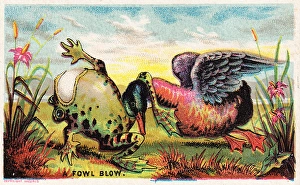 Anger Gallery: Duck, frog and egg on a comic card