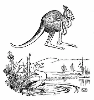 Leaping Gallery: The Duck and the Kangaroo - Edward Lear