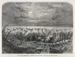 Encourage Prints: Duck shooting with decoys