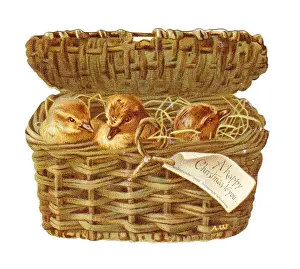 Duckling Prints: Three ducklings in a basket on a cutout Christmas card