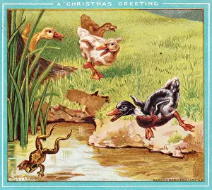 Ducks and a frog on a Christmas card
