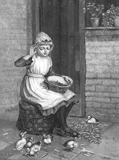 Shelling Collection: Ducks and Green Peas by Miss E Mitchell