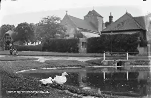 Ducks by the Pond in Rottingdean