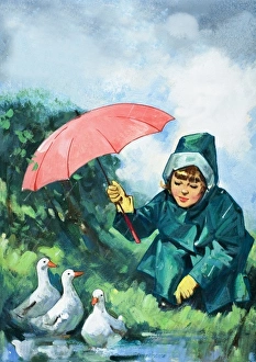 Images Dated 2nd October 2006: Ducks in the rain