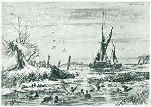 Floats Prints: Ducks By The Sea