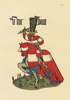 Ancien Gallery: Duke of Austria, Duc d Autriche