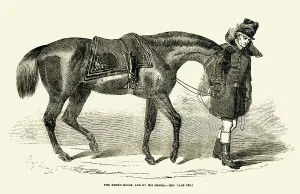 Dukes Prints: Duke of Wellington's horse and groom