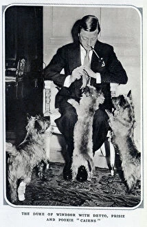 Boulevard Collection: Duke of Windsor with dogs