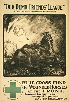 Fund Gallery: Our Dumb Friends League. A society for the encouragement of