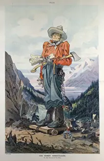 The dummy homesteader; or, the winning of the West