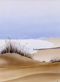 Beautiful Landscapes Gallery: Dune Grass - Picture 2 of 2