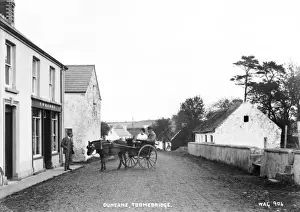Pony Prints: Duneane, Toomebridge
