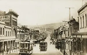 Zealand Prints: Dunedin, New Zealand