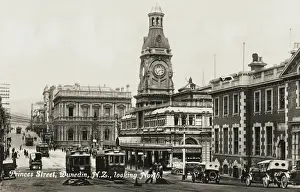 Zealand Prints: Dunedin, New Zealand