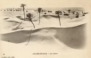 Sahara Prints: The dunes at Colomb-Bechar - Algeria
