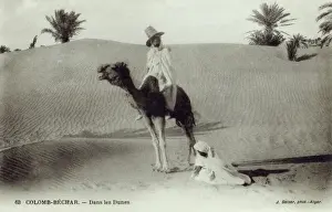 In the Dunes - Columb-Bechar, Algeria
