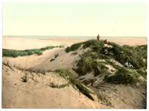 Sylt Prints: The dunes, Sylt Listland, Westerland, Sylt, Schleswig-Holste