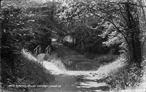 Hollow Prints: Dunford Hollow Bridge