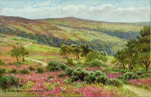 Mauve Collection: Dunkery Beacon, from Webber's Post, Exmoor, Somerset