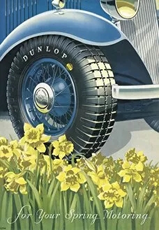Spring Gallery: Dunlop Tyre Advert 1934