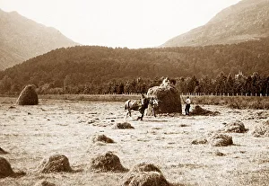 Croft Prints: Dunoon Haymaking Victorian period