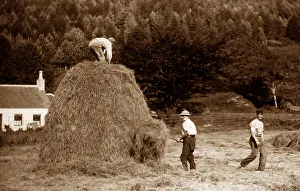 Dunoon Haymaking Victorian period
