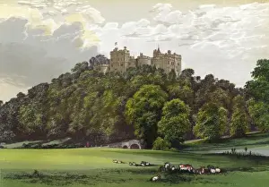 Dunster Prints: Dunster Castle / Somerset