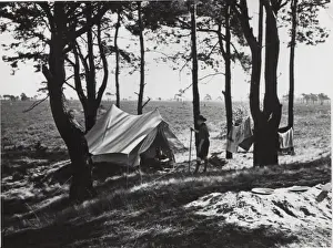 Clump Prints: Dutch boy scouts camping, Holland