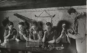 Blindfold Collection: Dutch boy scouts training their sense of smell