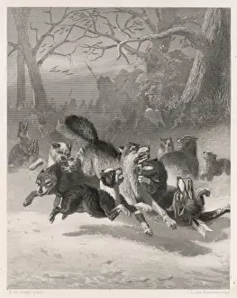 Dutch Wolf Hunt