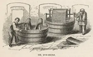 Dyeing Cottons
