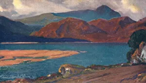 Williams Collection: Dyffwys