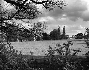 Barnet Prints: Dyrham Park