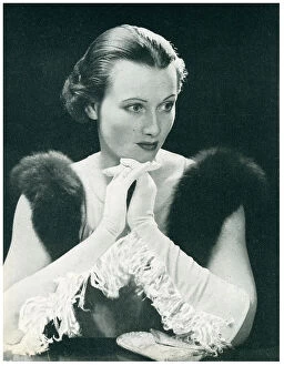 Furs Collection: E. Dingle & Co Advertisement Photograph