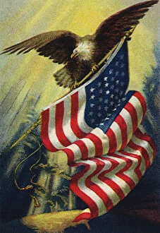 Images Dated 21st August 2020: Eagle and American Flag Date: 1915