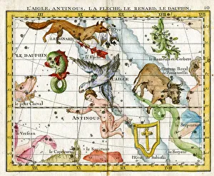Arrow Collection: Eagle Antonious, Arrow, Fox, Dolphin