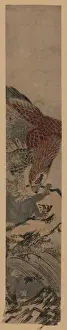 Eagle attacking a monkey