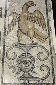 Remain Gallery: Eagle and Medusa Head. Mosaic floor. Synagogue at Yafia, Low