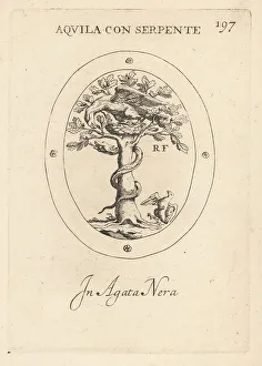 Emblem Prints: Eagle on its nest battling a snake in a tree