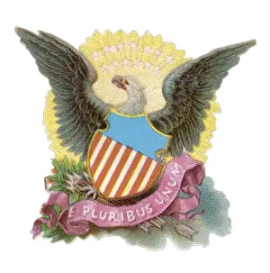 Choose Prints: Eagle as us Symbol
