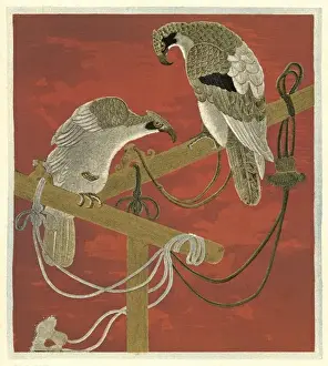 Eagles (Japanese)