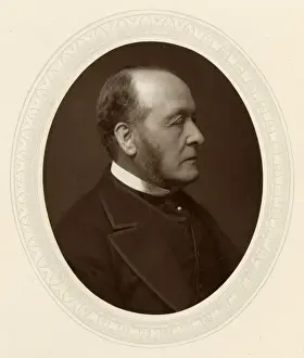 Earl Cranbrook Head Only