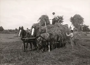 Early 20th century vintage press photograph