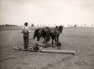 Early 20th century vintage press photograph