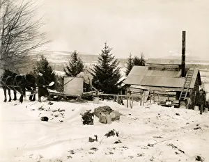 Early 20th century vintage press photograph