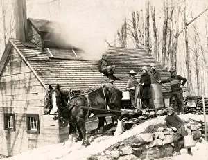 Early 20th century vintage press photograph